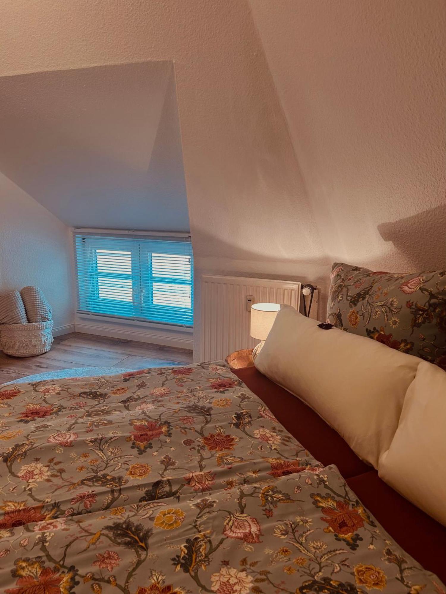 4 Wunderschoene Ferienwohnungen Im Kavaliershaus Schwerin  Eksteriør billede