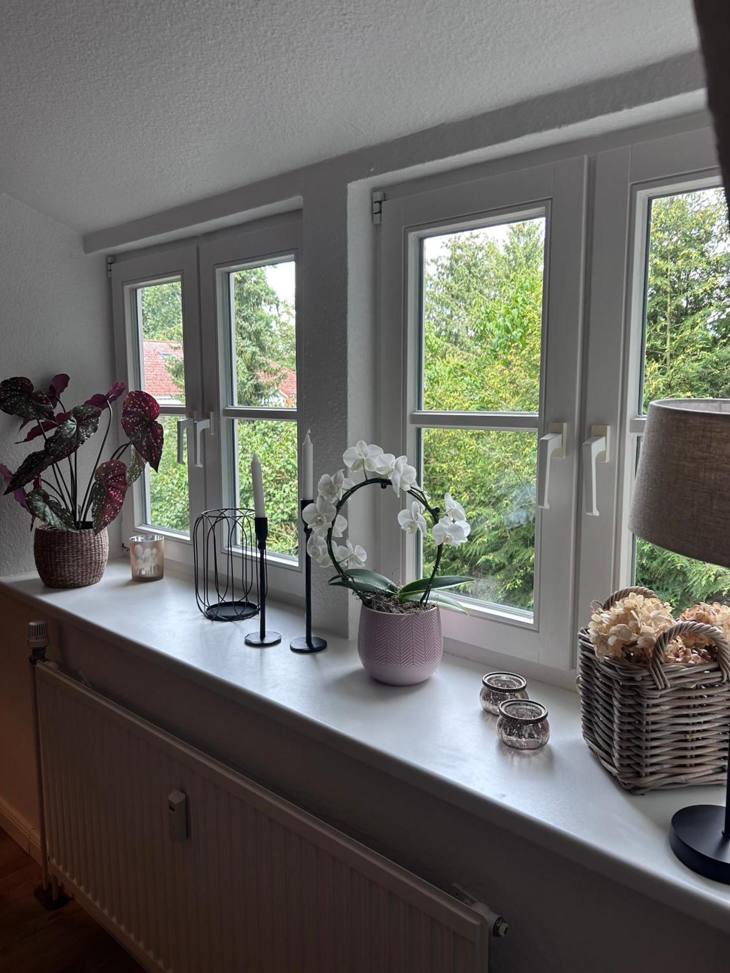 4 Wunderschoene Ferienwohnungen Im Kavaliershaus Schwerin  Eksteriør billede